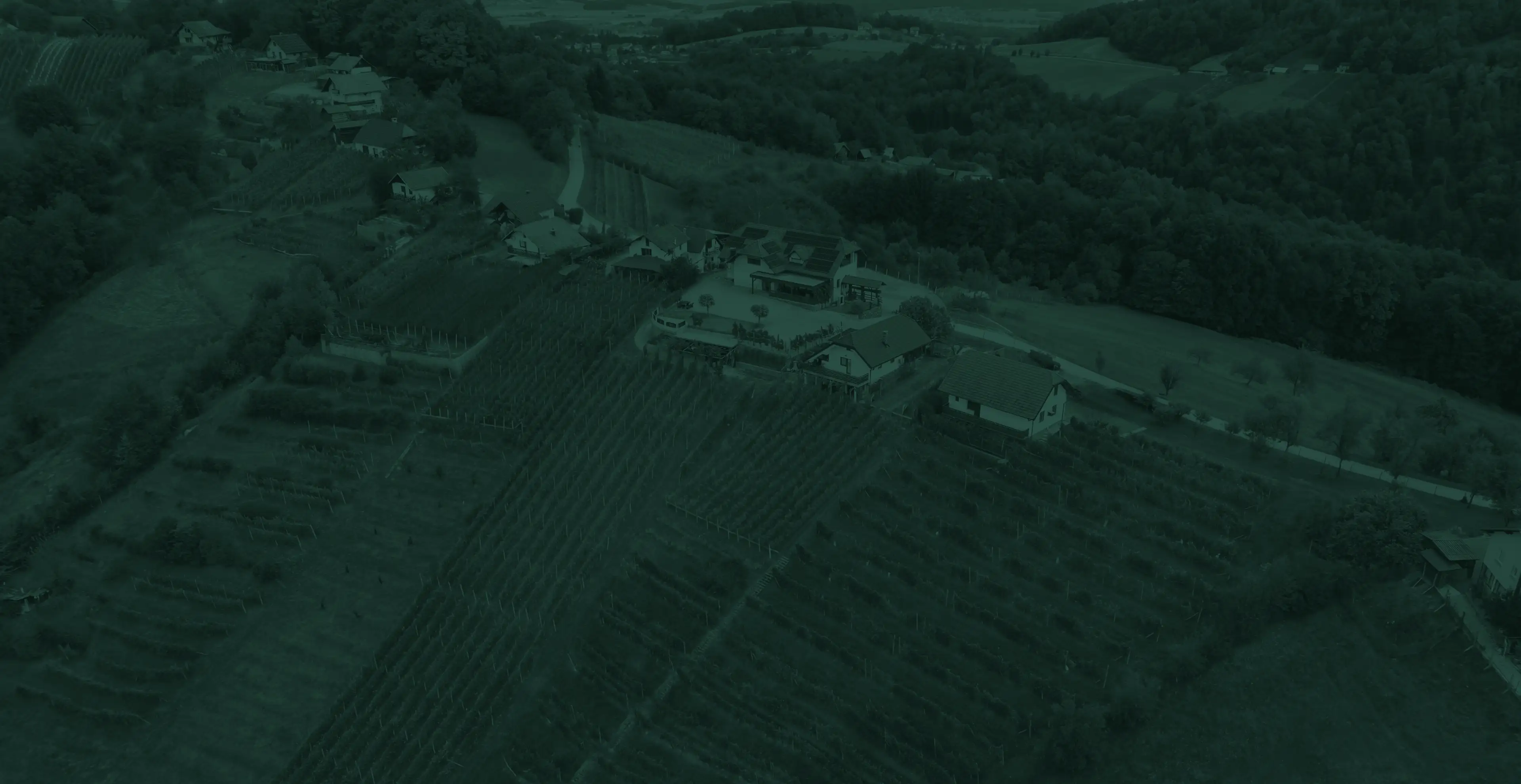 Družina Štolfa med vinogradi